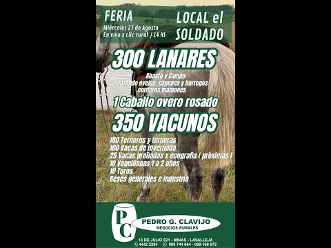 27/8/2025 Local el Soldado - Lavalleja - Pedro G. Clavijo