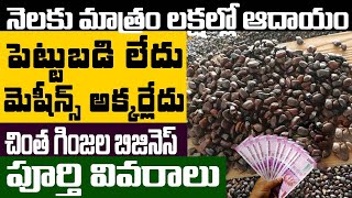 How To Start Tamarind Seeds Business | Most Profitable Business | Self Employment | Money Factory