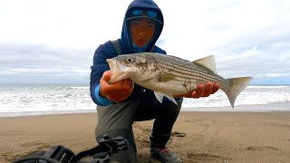 California Surf Fishing with a BIG Surprise Catch