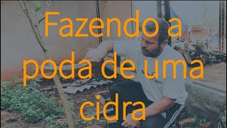 Miniatura do vídeo