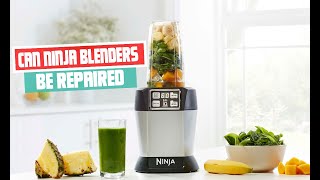 Can Ninja Blenders Be Repaired Find Out Now!
