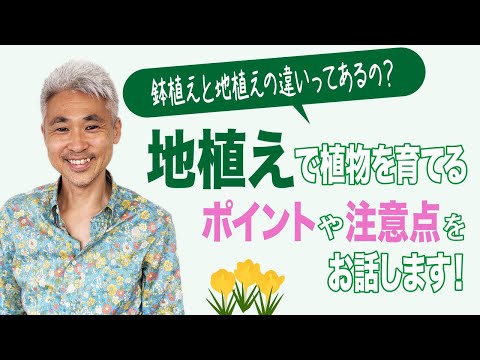 ドライガーデン屋外栽培用グラフィック屋外サボテン Lemaireocereus thurberi