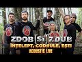 Zdob și Zdub — Înțelept, codrule, ești (acoustic live)