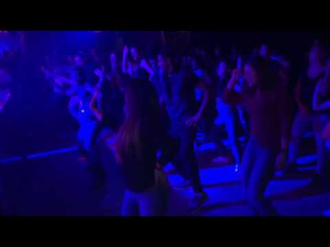 Reggeaton Night Cat April