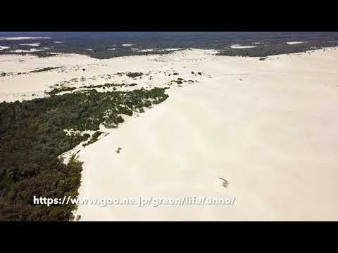 内陸の砂丘　Yeagarup Dunes