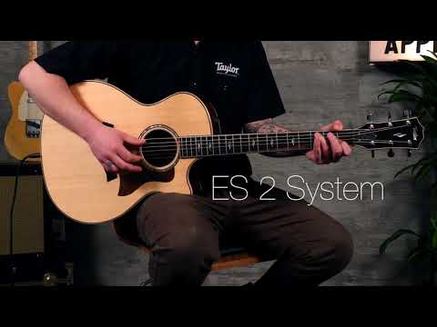 Taylor Expression System 2 vs. K&K Pure Mini