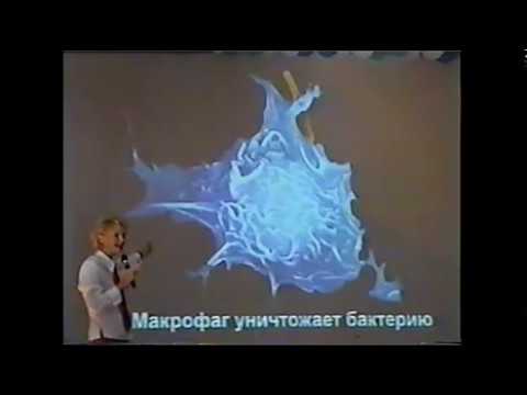 Резкая боль в поясницы Распухают суставы коленей