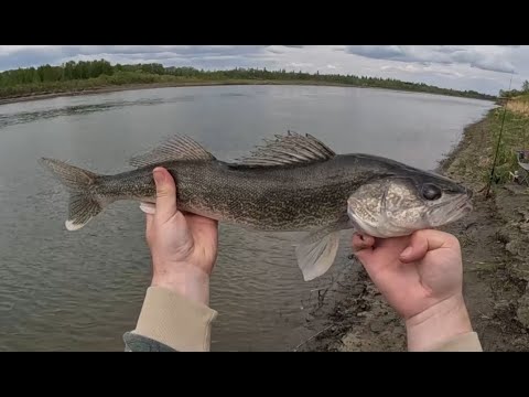 Shore Fishing a Calm River in Mid-May