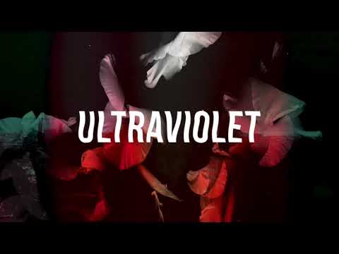 Bearcubs - Ultraviolet