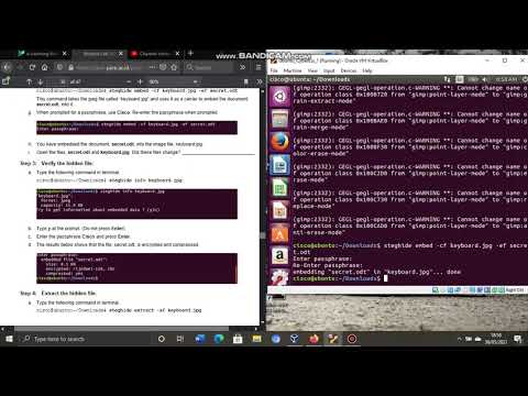 4.3.2.3 Lab - Using Steganography