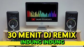 Download lagu 30 Menit DJ REMIX - Indung Indung Kepala Lindung mp3