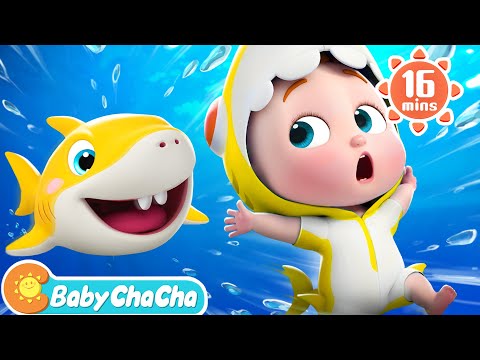 Baby Shark | Baby Shark Doo Doo Doo Dance + More Baby ChaCha Nursery Rhymes & Kids Songs