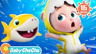 Baby Shark  Baby Shark Doo Doo Doo Dance + More Ba