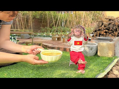 A sleepless night for Lala — Grandma’s gentle remedy