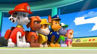 Paw Patrol Coloring Pages ABC Alphabet Song Episode 2   Paw Patrol Cartoon Coloring Book