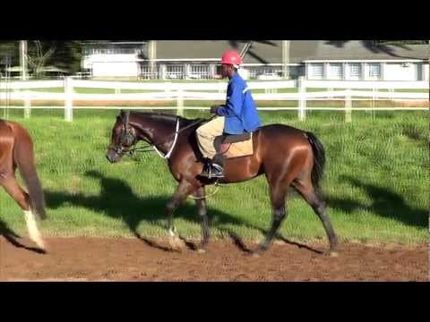 2013-02-19 Regal Relative on show