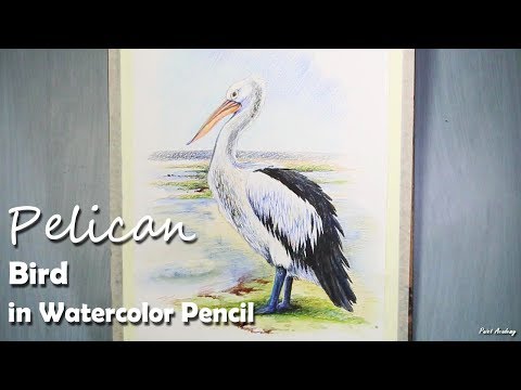 Mountains and Pine Tress Watercolor Pencil Landscape Drawing | steps to follow