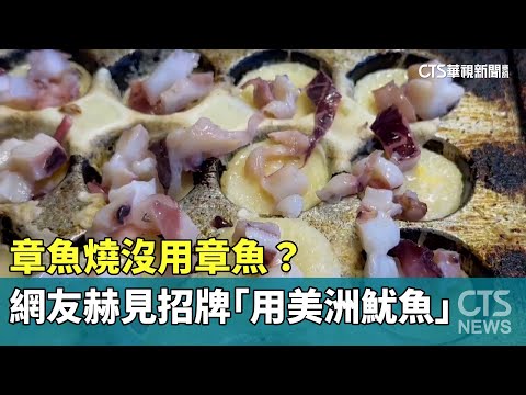 章魚燒沒用章魚？　網友赫見招牌「用美洲魷魚」