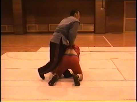 サンボ技術ＤＶＤ１４　サンプル