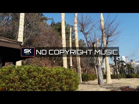 free No copyright music, vlog background music / FEELINGS - STEAM PHUNK