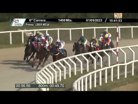 230901 c06 - MICOVID FT - HIPODROMO LAS PIEDRAS