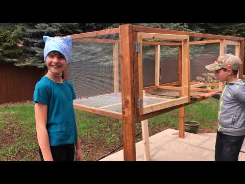 The Complete Guide to Raising Quail: From Eggs to Harvest