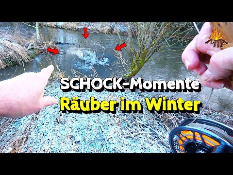 Fliegenfischen auf Hecht bei Minusgraden – Attacken aus dem Nichts!