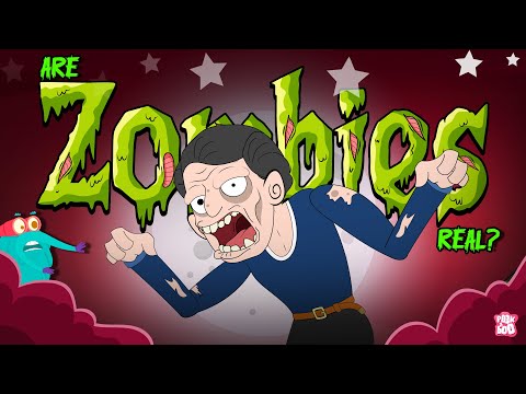 Are Zombies Real? 🧟 Zombie Apocalypse Mystery | Solving Mysteries with Dr Binocs | Halloween Special