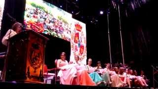 preview picture of video 'Pregon de las fiestas, 2014 en Nava del Rey'