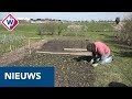Lekker onbespoten groenten uit de eigen omgeving eten in Bodegraven - OMROEP WEST