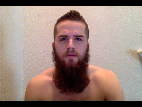 Year Of The Beard 2016 - 1 Year Time Lapse