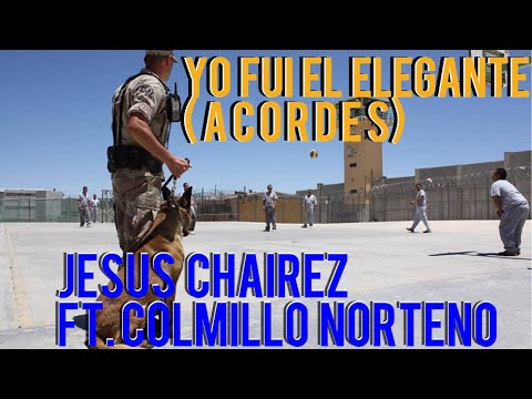 Yo Fui El Elegante - Colmillo Norteño