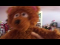 The Bear Went Over The Mountain W My Baby Bear Toy