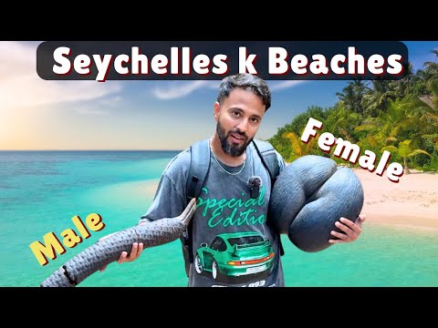 Seychelles Beaches, Food & Coco De Mer | Honeymoon Destination