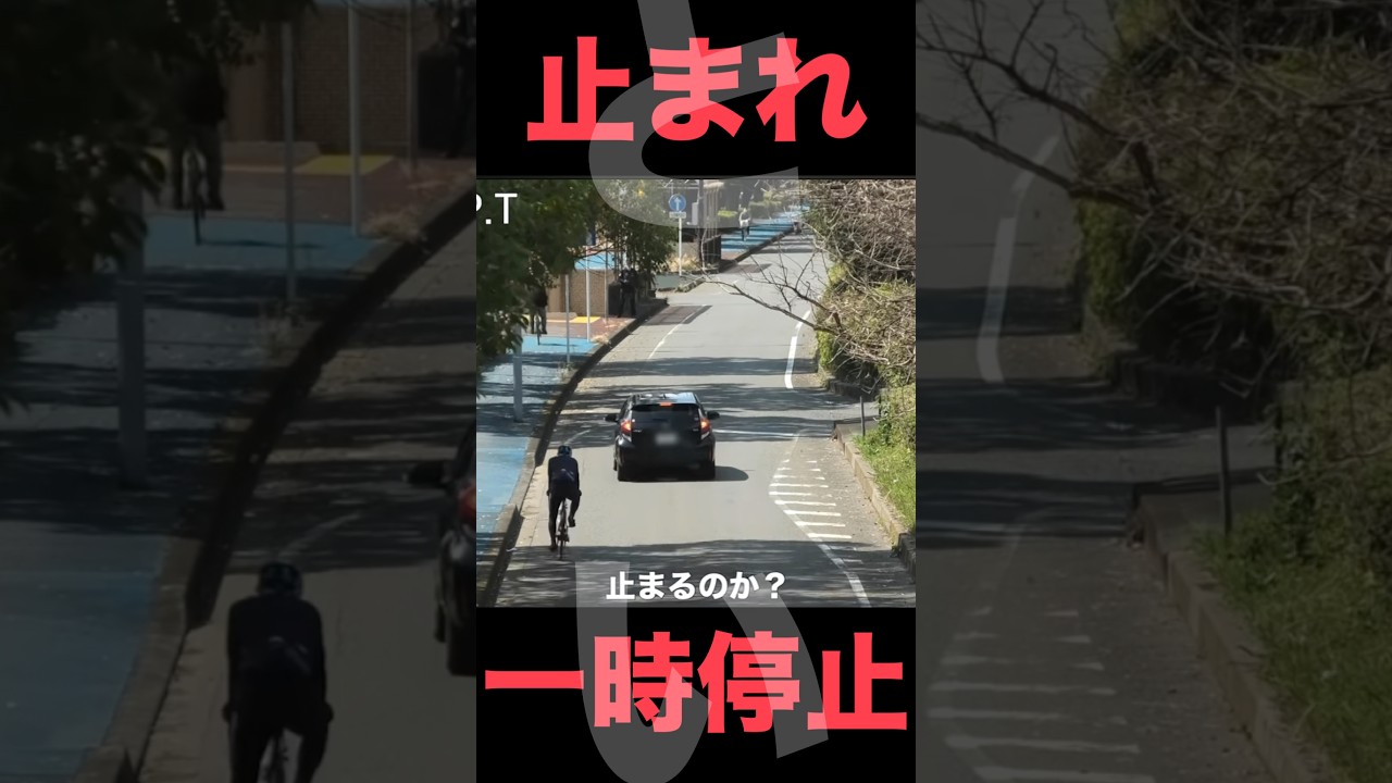 取締り重点交差点で、定点撮影したらヤバイほど違反車がいた