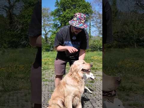 INCROYABLE dispositif anti-GOLDEN !