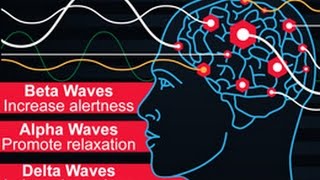 Types of Brain Waves and Their Functions