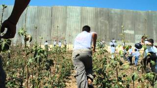 Immortalised - Glenn Aitken - Extraordinary Lives