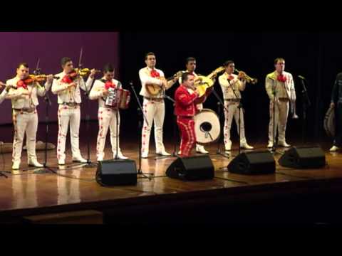 MARIACHI MEDELLIN SHOW - A LA SOMBRA DE MI MADRE