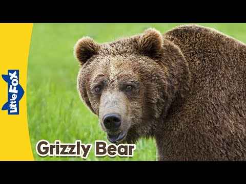 Meet the Animals | Grizzly Bear | Wild Animals | Stories for Kindergarten