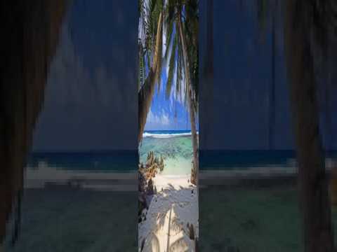 Audio de la Lectura de la Torá de Vayeishev (Génesis 37:1 - 40:23)