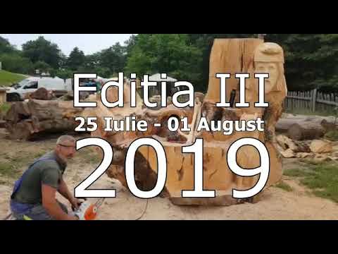Ediția a3-a a festivalului cu drujbă (va astept)