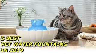 Pet Water Fountain 2019