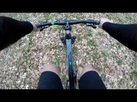 Romanian forest RIDE - Titesti, Arges