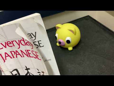 Yellow Cat Catching Up On Some Reading!