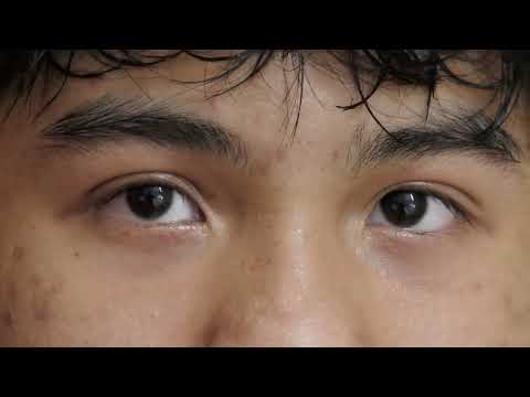 Déjàvu – team Dejavu