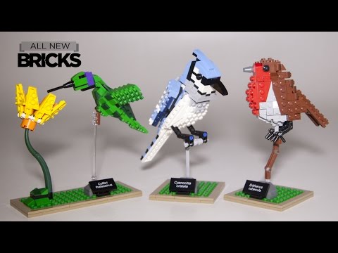 LEGO Ideas 21301 pas cher, Les oiseaux