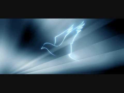 Espirito Santo Meu Amigo video