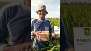 Download lagu Pupuk BESTFARM   PASGROW Mantaap Juga Buat PADI mp3