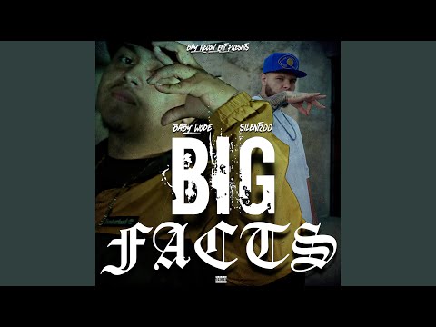 Big Facts (feat. Baby Wode)